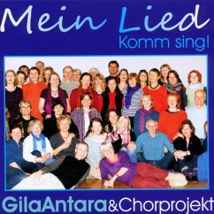 Cover Mein Lied