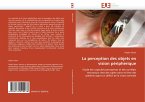 La perception des objets en vision périphérique