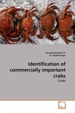 Identification of commercially important crabs