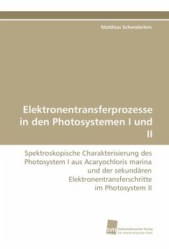 Elektronentransferprozesse in den Photosystemen I und II - Schenderlein, Matthias