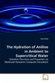 The Hydration of Aniline in Ambient to Supercritical Water