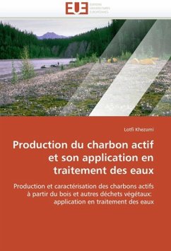 Production Du Charbon Actif Et Son Application En Traitement Des Eaux