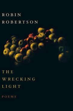 Wrecking Light - Robertson, Robin