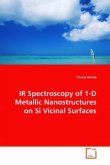 IR Spectroscopy of 1-D Metallic Nanostructures on Si Vicinal Surfaces