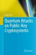 Quantum Attacks on Public-Key... - Bild 1