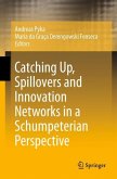 Catching Up, Spillovers and Innovation Networks in a Schumpeterian Perspective