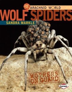 Wolf Spiders - Markle, Sandra