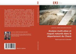 Analyse multi-aléas et risques naturels dans le département du Chocó - MOSQUERA-MACHADO, SILVIA DEL CARMEN