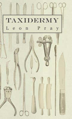 Taxidermy - Pray, Leon