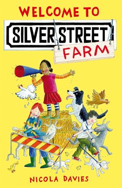 Welcome to Silver Street Farm - Davies, Nicola