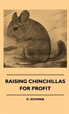 Raising Chinchillas For Profit