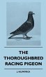 The Thoroughbred Racing Pigeon - Bild 1