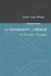 The Covenant of Grace in Puritan Thought - Bild 1