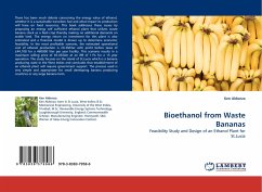 Bioethanol from Waste Bananas
