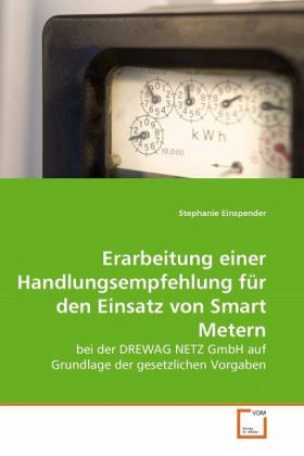 Erarbeitung einer Handlungsempfehlung für den Einsatz von Smart Metern