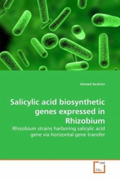 Salicylic acid biosynthetic genes expressed in Rhizobium - Ibrahim, Ahmed