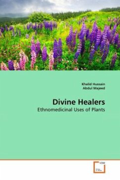 Divine Healers - Hussain, KhalidMajeed, Abdul