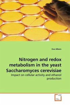 Nitrogen and redox metabolism in the yeast Saccharomyces cerevisiae - Albers, Eva