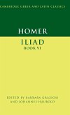 Iliad, Book 6