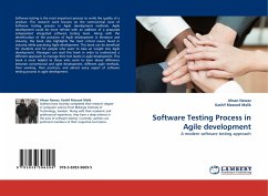 Software Testing Process in Agile development