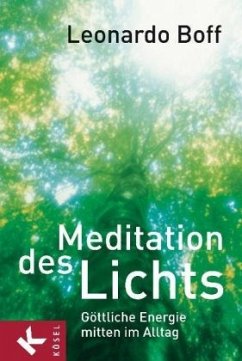 Meditation des Lichts - Boff, Leonardo