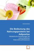 Die Bedeutung des Nahrungsproteins bei Adipositas