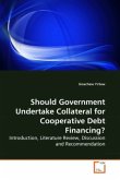 Should Government Undertake Collateral for Cooperative Debt Financing?