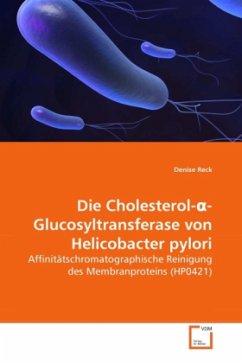 Die Cholesterol- -Glucosyltransferase von Helicobacter pylori - Reck, Denise