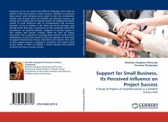 Support for Small Business, Its Perceived Influence on Project Success