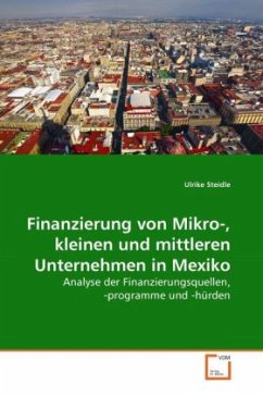 Finanzierung von Mikro-, kleinen und mittleren Unternehmen in Mexiko - Steidle, Ulrike