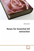 Roses for Essential Oil extraction