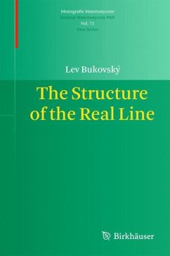 The Structure of the Real Line - Bukovský, Lev