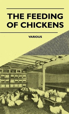The Feeding of Chickens