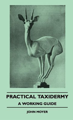 Practical Taxidermy - A Working Guide - Moyer, John