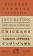 Incubation and Brooding of Chickens - Bild 1