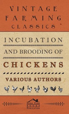 Incubation and Brooding of Chickens - Jull, M. A.