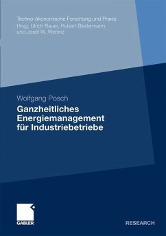 Ganzheitliches Energiemanagement für Industriebetriebe - Posch, Wolfgang