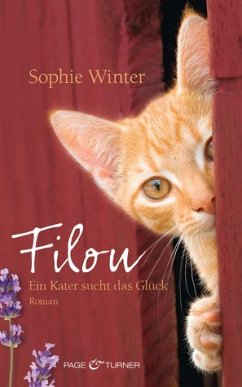 Ein Kater sucht das Glück / Filou Bd.1 - Winter, Sophie