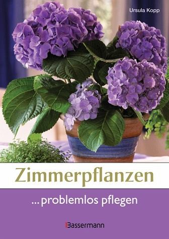Zimmerpflanzen