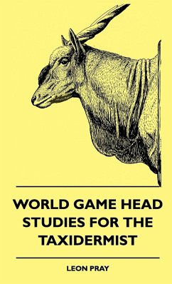 World Game Head Studies For The Taxidermist - Pray, Leon