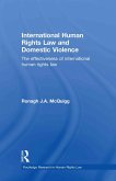 International Human Rights Law and Domestic Violence