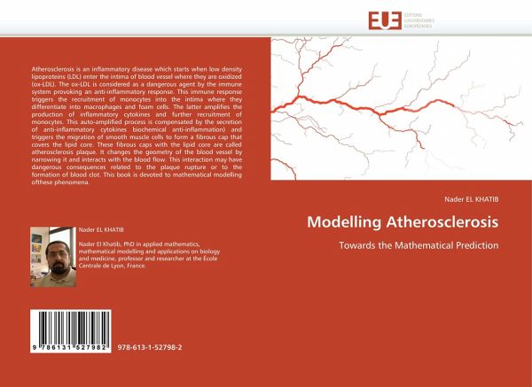Modelling Atherosclerosis