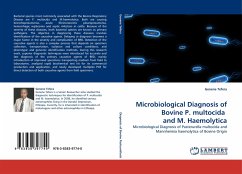 Microbiological Diagnosis of Bovine P. multocida and M. Haemolytica