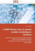 L'AMP-Kinase chez la plante modèle Arabidopsis thaliana L'AMP-Kinase chez la plante modèle Arabidopsis thaliana