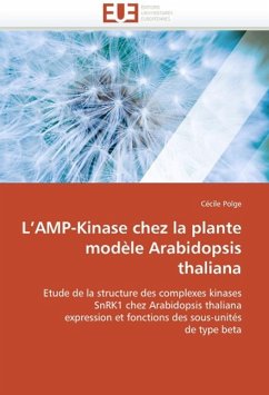 L Amp-Kinase Chez La Plante Modèle Arabidopsis Thaliana