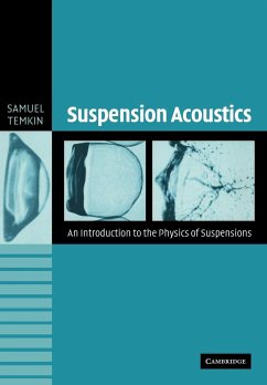 Suspension Acoustics - Temkin, Samuel