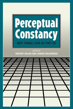 Perceptual Constancy