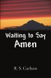 Waiting to Say Amen - Bild 1