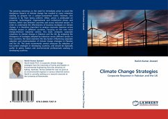 Climate Change Strategies