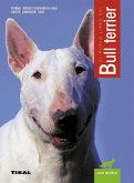 Bull Terrier